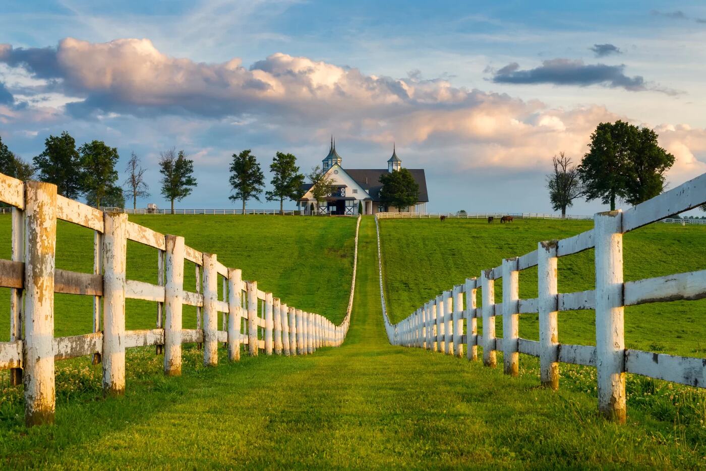 White-fenced lane leading across a Kentucky horse farm to a hilltop barn beneath a blue sky